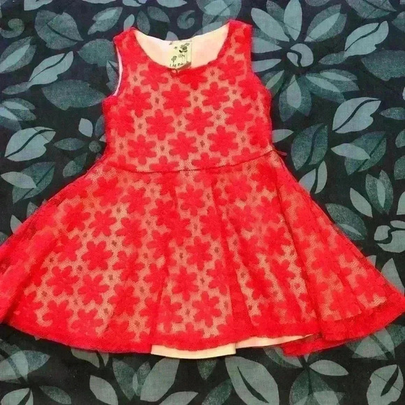 Lily Bleu Other - pink flower dress size 2T